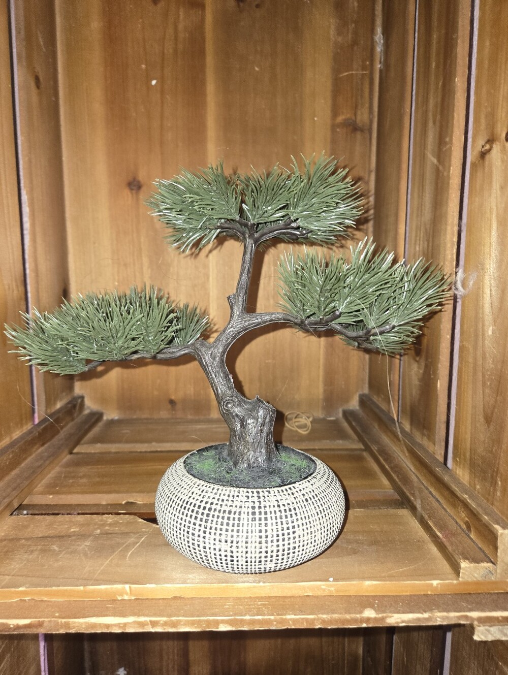 Mini Artificial Bonsai Tree in Textured Ceramic Pot - Green